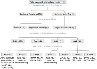Rapid gene fusion testing using the NanoString nCounter platform to improve pediatric leukemia diagnoses in Sub-Saharan Africa